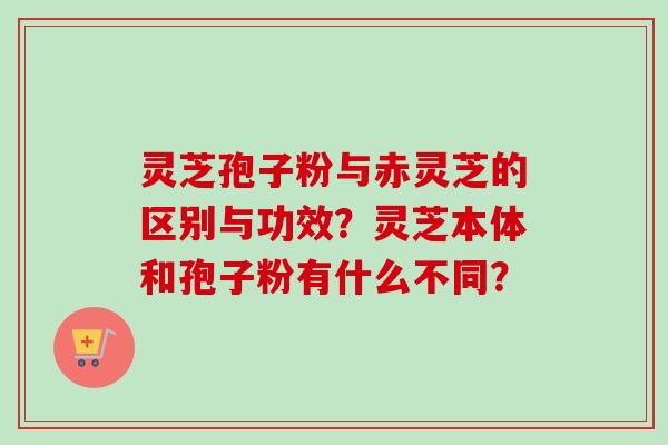 灵芝孢子粉与赤灵芝的区别与功效?灵芝本体和孢子粉有什么不同? 灵芝孢子粉与赤灵芝的区别与功效?灵芝本体和孢子粉有什么不同?