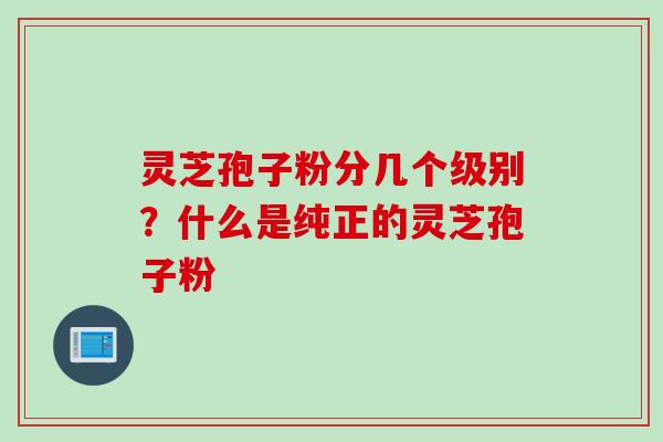 灵芝孢子粉分几个级别？什么是纯正的灵芝孢子粉