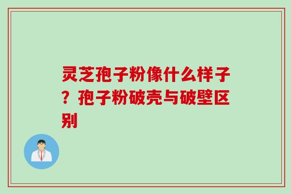 灵芝孢子粉像什么样子？孢子粉破壳与破壁区别