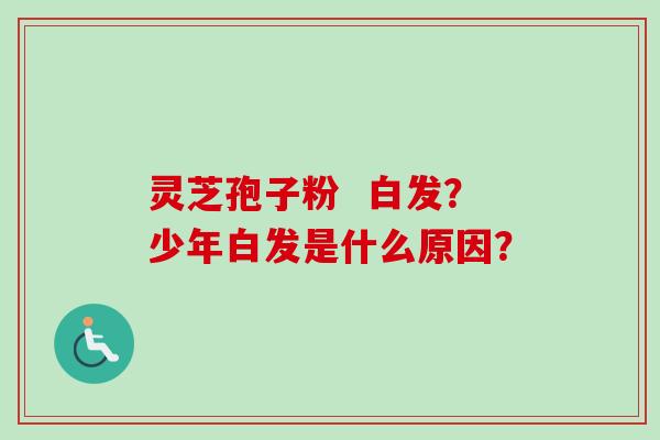 灵芝孢子粉  白发？少年白发是什么原因？