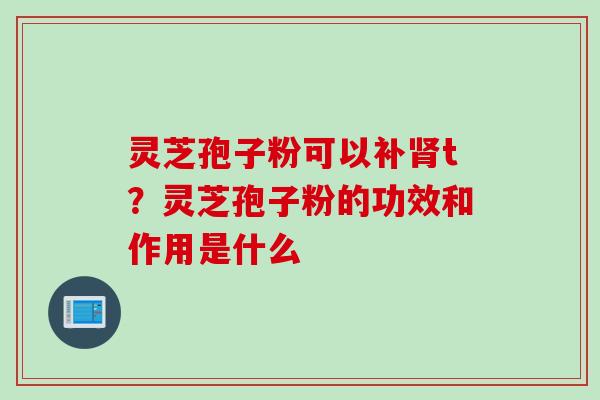 灵芝孢子粉可以补肾t？灵芝孢子粉的功效和作用是什么