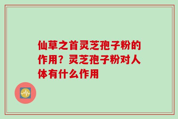仙草之首灵芝孢子粉的作用？灵芝孢子粉对人体有什么作用