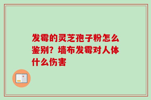 发霉的灵芝孢子粉怎么鉴别?墙布发霉对人体什么伤害 发霉的灵芝孢子粉怎么鉴别?墙布发霉对人体什么伤害