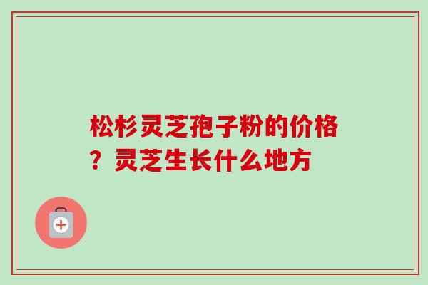 松杉灵芝孢子粉的价格？灵芝生长什么地方