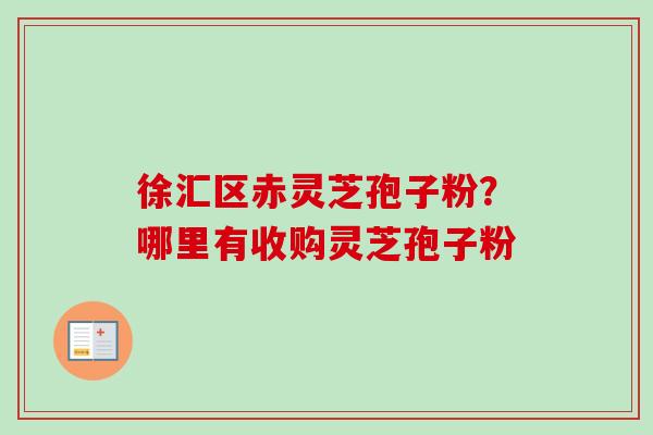 徐汇区赤灵芝孢子粉？哪里有收购灵芝孢子粉