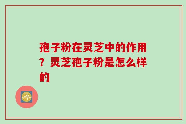 孢子粉在灵芝中的作用？灵芝孢子粉是怎么样的