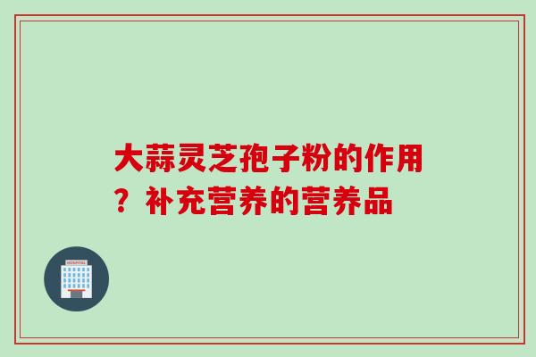 大蒜灵芝孢子粉的作用？补充营养的营养品