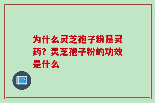 为什么灵芝孢子粉是灵药？灵芝孢子粉的功效是什么
