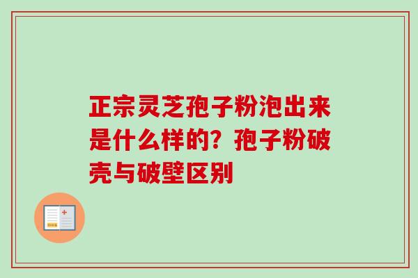 正宗灵芝孢子粉泡出来是什么样的？孢子粉破壳与破壁区别