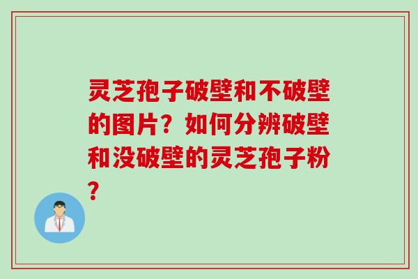 灵芝孢子破壁和不破壁的图片？如何分辨破壁和没破壁的灵芝孢子粉？