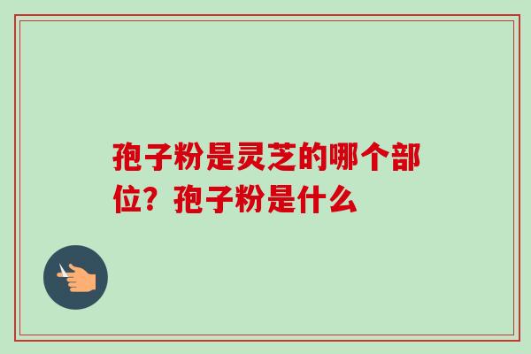 孢子粉是灵芝的哪个部位?孢子粉是什么 孢子粉是灵芝的哪个部位?孢子粉是什么
