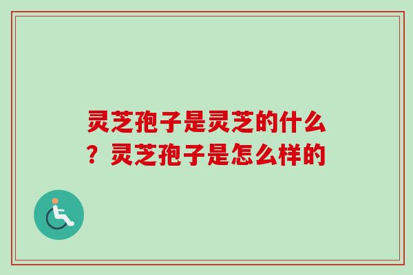 灵芝孢子是灵芝的什么？灵芝孢子是怎么样的