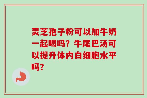 灵芝孢子粉可以加牛奶一起喝吗？牛尾巴汤可以提升体内白细胞水平吗？