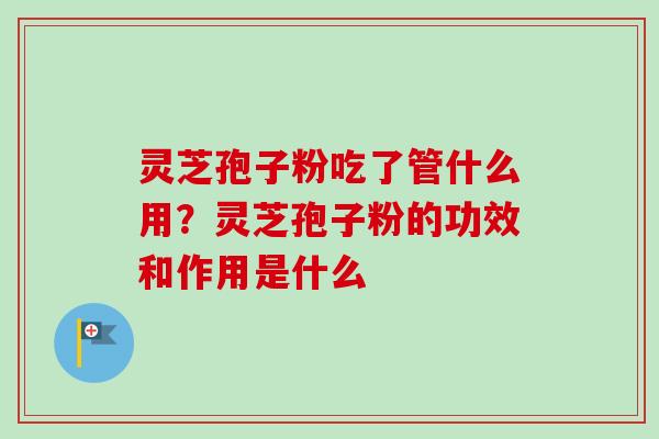 灵芝孢子粉吃了管什么用？灵芝孢子粉的功效和作用是什么