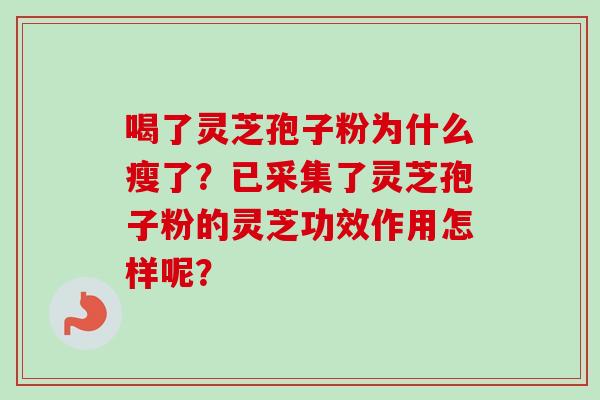 喝了灵芝孢子粉为什么瘦了？已采集了灵芝孢子粉的灵芝功效作用怎样呢？