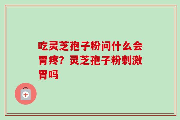 吃灵芝孢子粉问什么会胃疼？灵芝孢子粉刺激胃吗