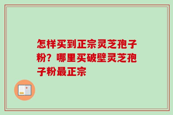 怎样买到正宗灵芝孢子粉？哪里买破壁灵芝孢子粉最正宗