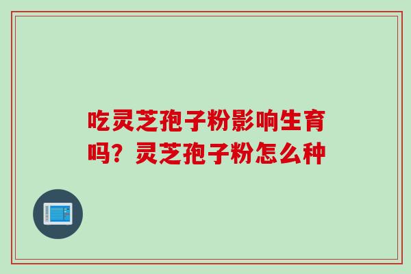 吃灵芝孢子粉影响生育吗？灵芝孢子粉怎么种