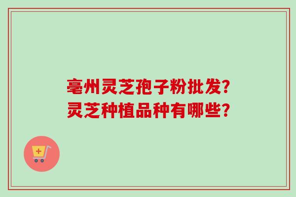 亳州灵芝孢子粉批发？灵芝种植品种有哪些？
