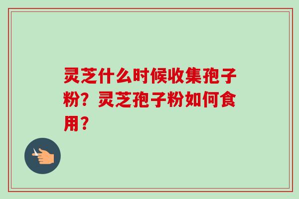 灵芝什么时候收集孢子粉？灵芝孢子粉如何食用？