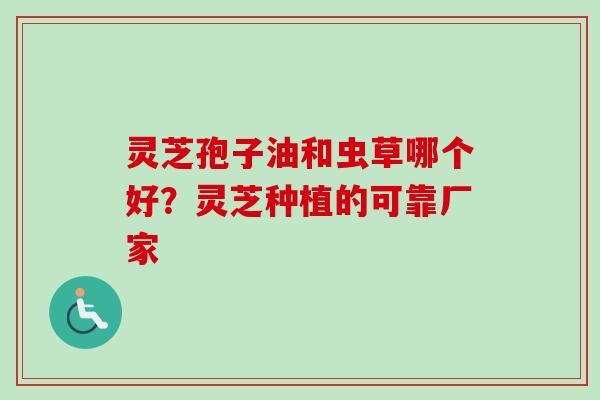 灵芝孢子油和虫草哪个好？灵芝种植的可靠厂家