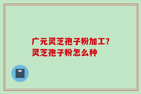 广元灵芝孢子粉加工？灵芝孢子粉怎么种