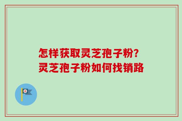 怎样获取灵芝孢子粉？灵芝孢子粉如何找销路