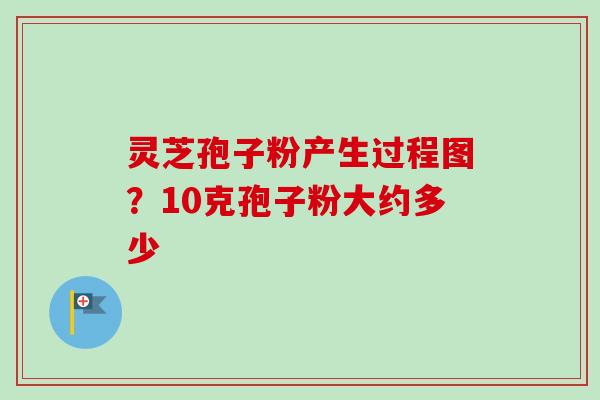 灵芝孢子粉产生过程图？10克孢子粉大约多少