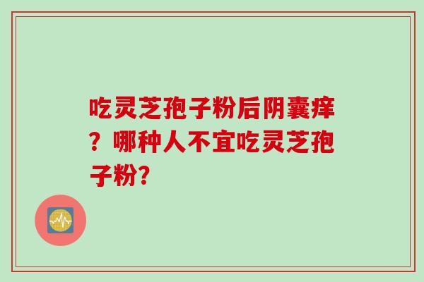 吃灵芝孢子粉后阴囊痒？哪种人不宜吃灵芝孢子粉？