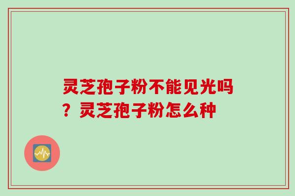 灵芝孢子粉不能见光吗？灵芝孢子粉怎么种