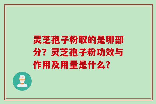 灵芝孢子粉取的是哪部分？灵芝孢子粉功效与作用及用量是什么？
