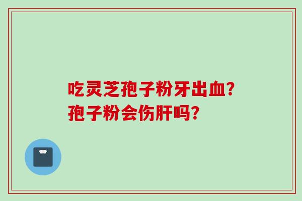 吃灵芝孢子粉牙出?孢子粉会伤吗? 吃灵芝孢子粉牙出?孢子粉会伤吗?
