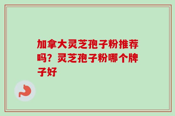 加拿大灵芝孢子粉推荐吗？灵芝孢子粉哪个牌子好