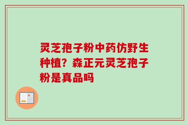 灵芝孢子粉中药仿野生种植？森正元灵芝孢子粉是真品吗