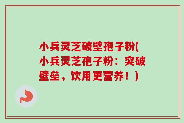 小兵灵芝破壁孢子粉(小兵灵芝孢子粉：突破壁垒，饮用更营养！)
