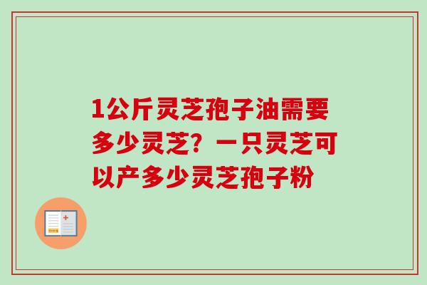 1公斤灵芝孢子油需要多少灵芝？一只灵芝可以产多少灵芝孢子粉