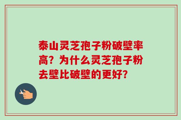 泰山灵芝孢子粉破壁率高?为什么灵芝孢子粉去壁比破壁的更好? 泰山灵芝孢子粉破壁率高?为什么灵芝孢子粉去壁比破壁的更好?