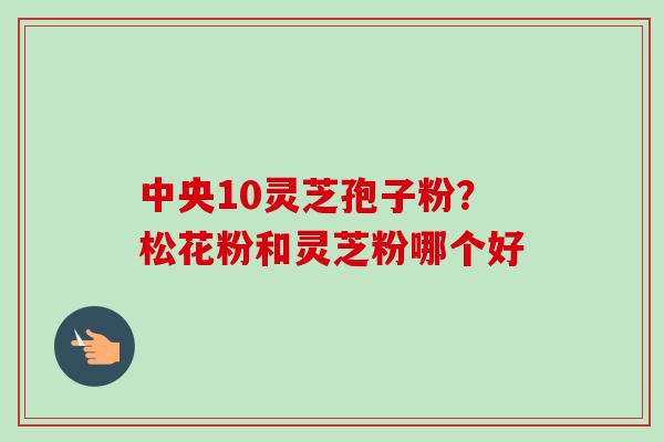 中央10灵芝孢子粉？松花粉和灵芝粉哪个好
