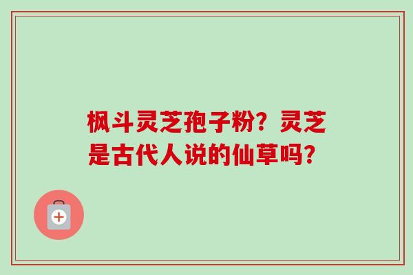 枫斗灵芝孢子粉？灵芝是古代人说的仙草吗？