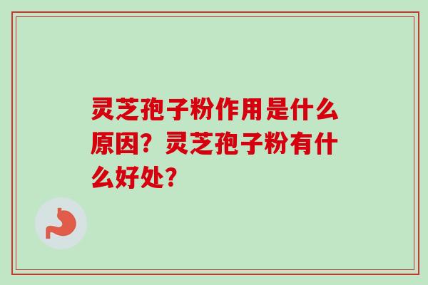 灵芝孢子粉作用是什么原因？灵芝孢子粉有什么好处？