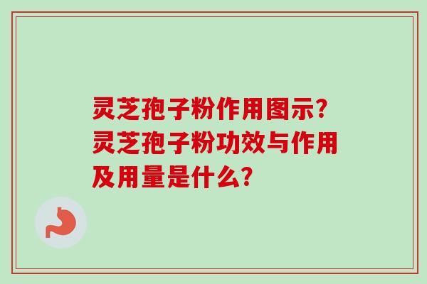 灵芝孢子粉作用图示？灵芝孢子粉功效与作用及用量是什么？