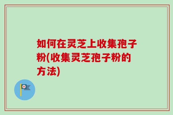 如何在灵芝上收集孢子粉(收集灵芝孢子粉的方法)