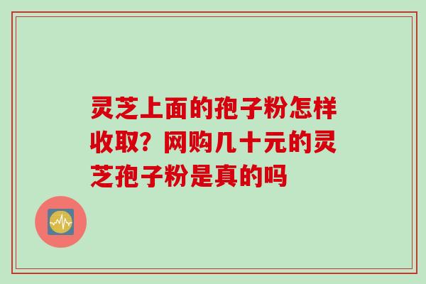 灵芝上面的孢子粉怎样收取？网购几十元的灵芝孢子粉是真的吗