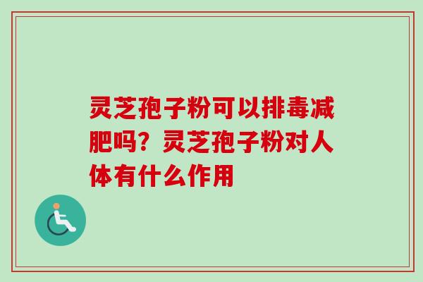 灵芝孢子粉可以排毒减肥吗？灵芝孢子粉对人体有什么作用