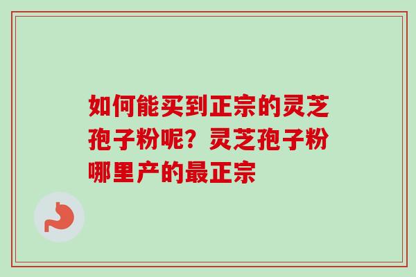 如何能买到正宗的灵芝孢子粉呢？灵芝孢子粉哪里产的最正宗