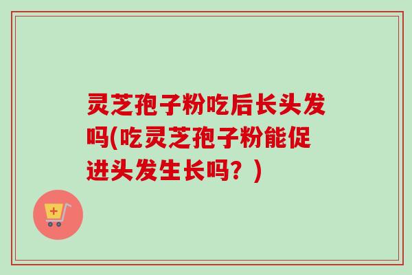 灵芝孢子粉吃后长头发吗(吃灵芝孢子粉能促进头发生长吗？)