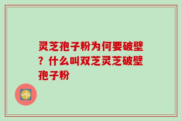 灵芝孢子粉为何要破壁？什么叫双芝灵芝破壁孢子粉