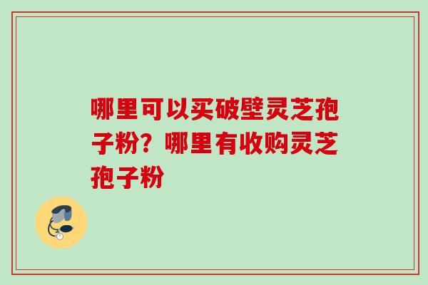 哪里可以买破壁灵芝孢子粉？哪里有收购灵芝孢子粉