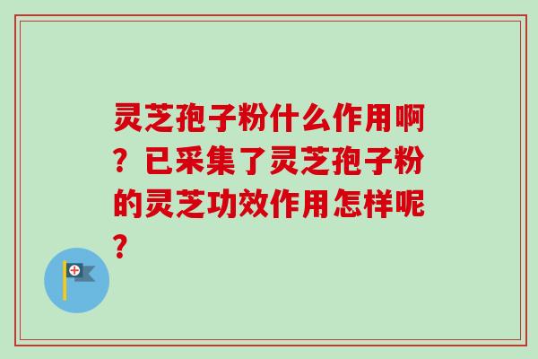 灵芝孢子粉什么作用啊？已采集了灵芝孢子粉的灵芝功效作用怎样呢？
