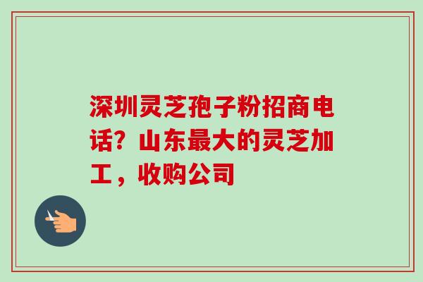深圳灵芝孢子粉招商电话？山东最大的灵芝加工，收购公司